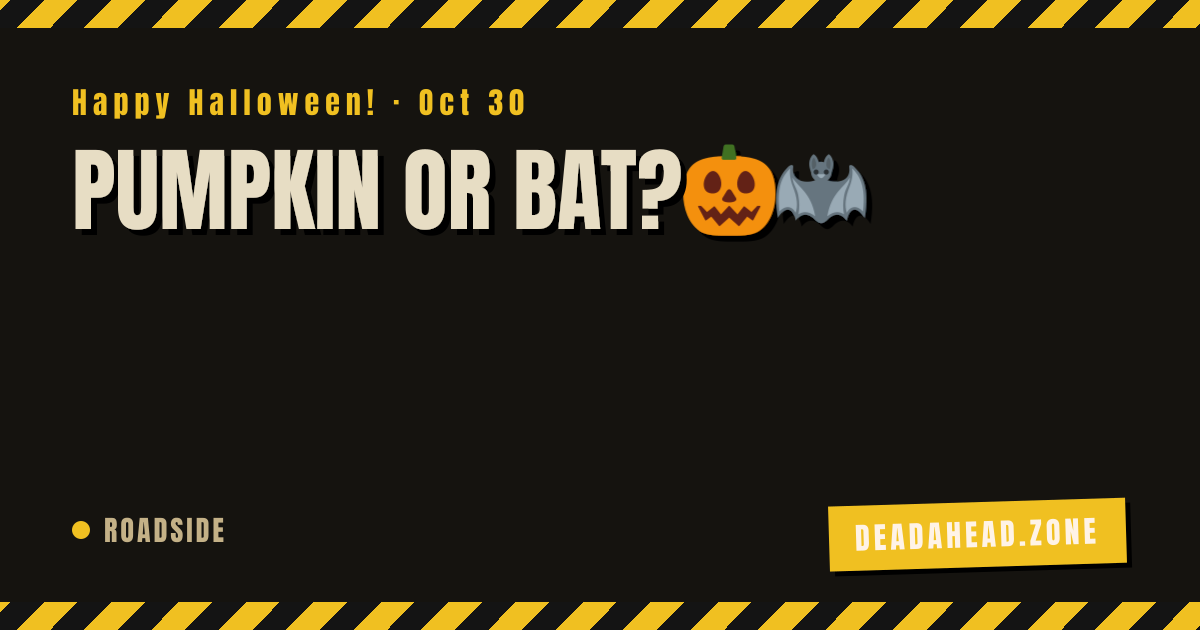 PUMPKIN OR BAT?🎃🦇 · Dead Ahead Zone